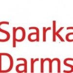 Logo DaSpa HKS 13